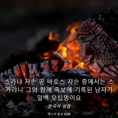 Picture 03 - 에스라 8:3 KOR - 스가냐 자손 곧 바로스 자손 - Bible Verse Picture