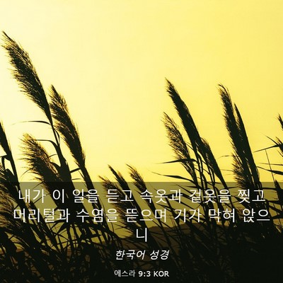Picture 03 - 에스라 9:3 KOR - 내가 이 일을 듣고 속옷과 겉옷을 - Bible Verse Picture