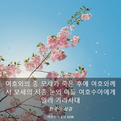 Picture 03 - 여호수아 1:1 KOR - 여호와의 종 모세가 죽은 후에 - Bible Verse Picture