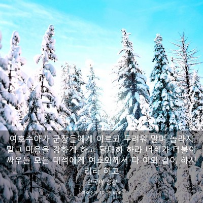 Picture 03 - 여호수아 10:25 KOR - 여호수아가 군장들에게 이르되 - Bible Verse Picture