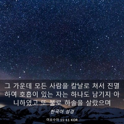 Picture 03 - 여호수아 11:11 KOR - 그 가운데 모든 사람을 칼날로 쳐서 - Bible Verse Picture