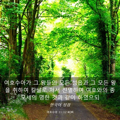 Picture 03 - 여호수아 11:12 KOR - 여호수아가 그 왕들의 모든 성읍과 - Bible Verse Picture