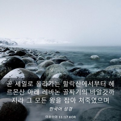 Picture 03 - 여호수아 11:17 KOR - 곧 세일로 올라가는 할락산에서부터 - Bible Verse Picture