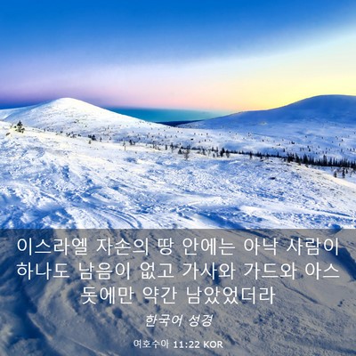 Picture 03 - 여호수아 11:22 KOR - 이스라엘 자손의 땅 안에는 아낙 - Bible Verse Picture