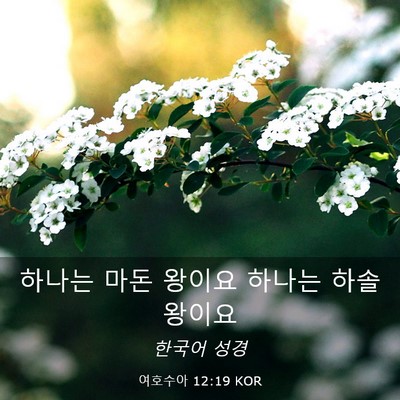 Picture 03 - 여호수아 12:19 KOR - 하나는 마돈 왕이요 하나는 하솔 - Bible Verse Picture