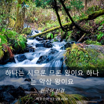 Picture 03 - 여호수아 12:20 KOR - 하나는 시므론 므론 왕이요 하나는 - Bible Verse Picture