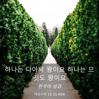 Picture 03 - 여호수아 12:21 KOR - 하나는 다아낙 왕이요 하나는 므깃도 - Bible Verse Picture