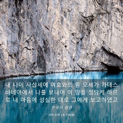 Picture 03 - 여호수아 14:7 KOR - 내 나이 사십세에 여호와의 종 - Bible Verse Picture