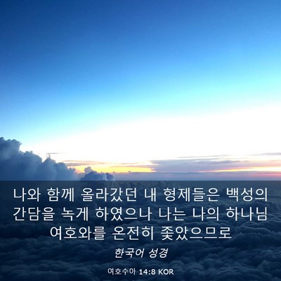 Picture 03 - 여호수아 14:8 KOR - 나와 함께 올라갔던 내 형제들은 - Bible Verse Picture