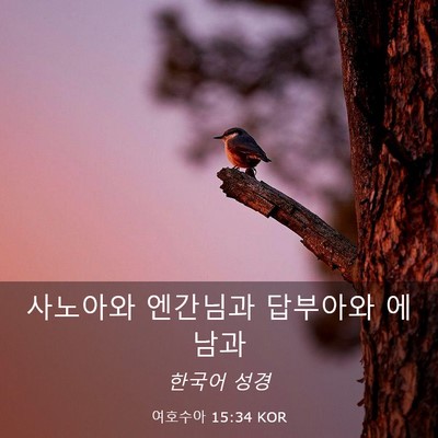 Picture 03 - 여호수아 15:34 KOR - 사노아와 엔간님과 답부아와 - Bible Verse Picture