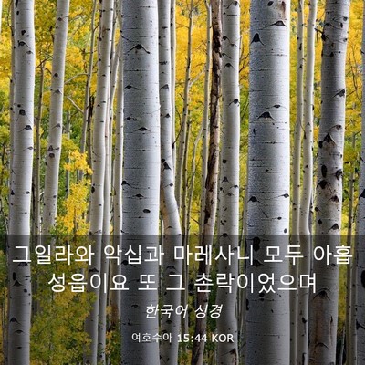 Picture 03 - 여호수아 15:44 KOR - 그일라와 악십과 마레사니 모두 아홉 - Bible Verse Picture