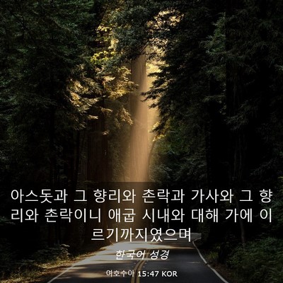 Picture 03 - 여호수아 15:47 KOR - 아스돗과 그 향리와 촌락과 가사와 - Bible Verse Picture