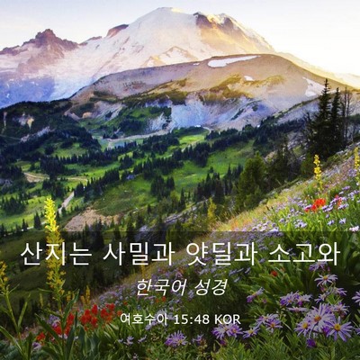 Picture 03 - 여호수아 15:48 KOR - 산지는 사밀과 얏딜과 - Bible Verse Picture
