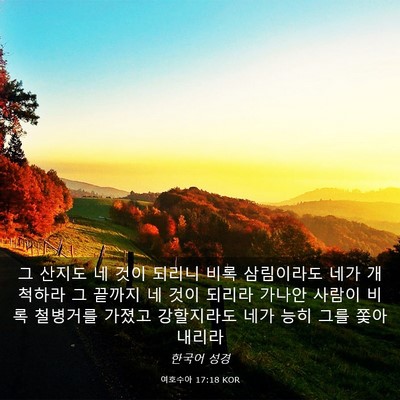 Picture 03 - 여호수아 17:18 KOR - 그 산지도 네 것이 되리니 비록 - Bible Verse Picture