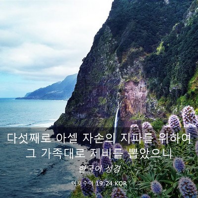 Picture 03 - 여호수아 19:24 KOR - 다섯째로 아셀 자손의 지파를 위하여 - Bible Verse Picture