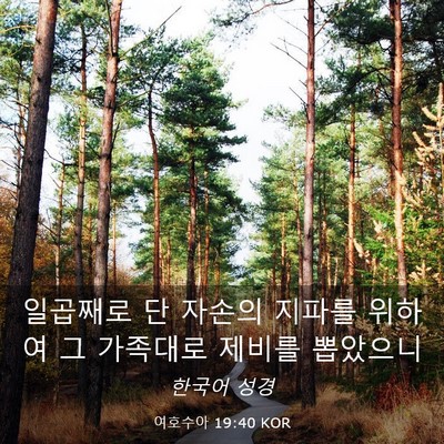 Picture 03 - 여호수아 19:40 KOR - 일곱째로 단 자손의 지파를 위하여 - Bible Verse Picture