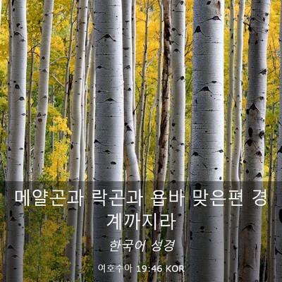 Picture 03 - 여호수아 19:46 KOR - 메얄곤과 락곤과 욥바 맞은편 - Bible Verse Picture