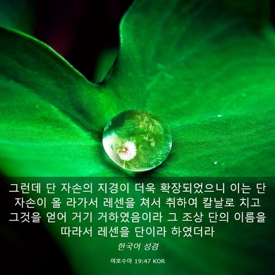 Picture 03 - 여호수아 19:47 KOR - 그런데 단 자손의 지경이 더욱 - Bible Verse Picture