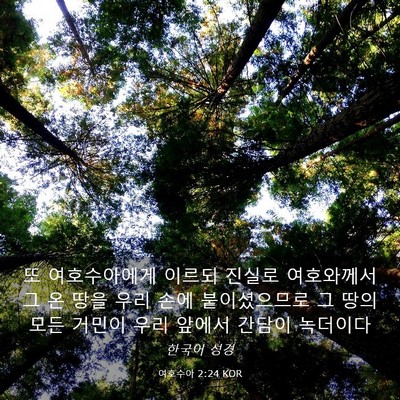 Picture 03 - 여호수아 2:24 KOR - 또 여호수아에게 이르되 진실로 - Bible Verse Picture