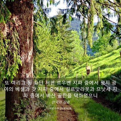Picture 03 - 여호수아 20:8 KOR - 또 여리고 동 요단 저편 르우벤 지파 - Bible Verse Picture