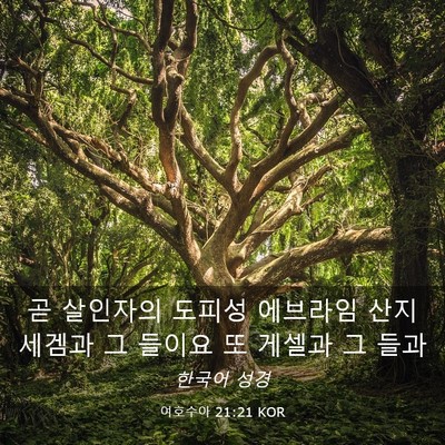 Picture 03 - 여호수아 21:21 KOR - 곧 살인자의 도피성 에브라임 산지 - Bible Verse Picture