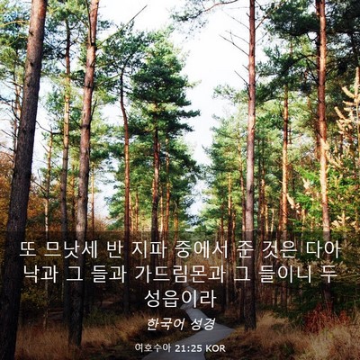 Picture 03 - 여호수아 21:25 KOR - 또 므낫세 반 지파 중에서 준 것은 - Bible Verse Picture