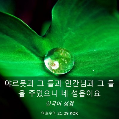 Picture 03 - 여호수아 21:29 KOR - 야르뭇과 그 들과 언간님과 그 들을 - Bible Verse Picture