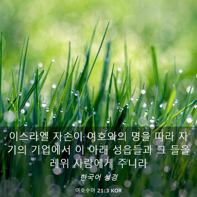 Picture 03 - 여호수아 21:3 KOR - 이스라엘 자손이 여호와의 명을 따라 - Bible Verse Picture