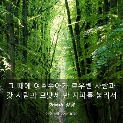 Picture 03 - 여호수아 22:1 KOR - 그 때에 여호수아가 르우벤 사람과 - Bible Verse Picture