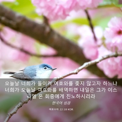 Picture 03 - 여호수아 22:18 KOR - 오늘날 너희가 돌이켜 여호와를 좇지 - Bible Verse Picture