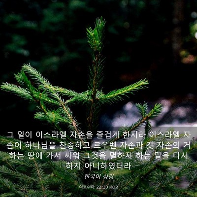 Picture 03 - 여호수아 22:33 KOR - 그 일이 이스라엘 자손을 즐겁게 - Bible Verse Picture