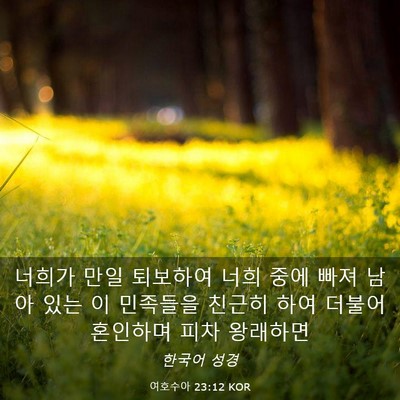 Picture 03 - 여호수아 23:12 KOR - 너희가 만일 퇴보하여 너희 중에 - Bible Verse Picture