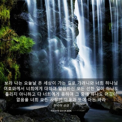 Picture 03 - 여호수아 23:14 KOR - 보라 나는 오늘날 온 세상이 가는 - Bible Verse Picture