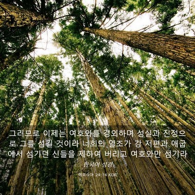 Picture 03 - 여호수아 24:14 KOR - 그러므로 이제는 여호와를 경외하며 - Bible Verse Picture