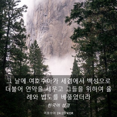 Picture 03 - 여호수아 24:25 KOR - 그 날에 여호수아가 세겜에서 - Bible Verse Picture