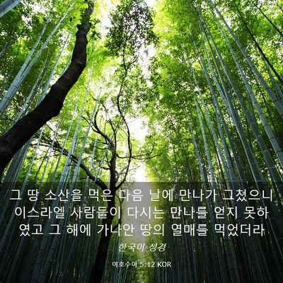 Picture 03 - 여호수아 5:12 KOR - 그 땅 소산을 먹은 다음 날에 만나가 - Bible Verse Picture