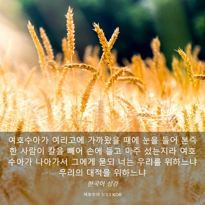 Picture 03 - 여호수아 5:13 KOR - 여호수아가 여리고에 가까왔을 때에 - Bible Verse Picture