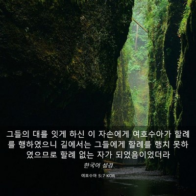 Picture 03 - 여호수아 5:7 KOR - 그들의 대를 잇게 하신 이 자손에게 - Bible Verse Picture