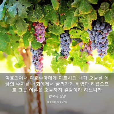 Picture 03 - 여호수아 5:9 KOR - 여호와께서 여호수아에게 이르시되 - Bible Verse Picture