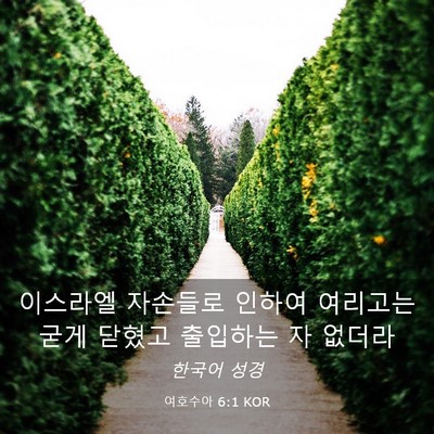 Picture 03 - 여호수아 6:1 KOR - 이스라엘 자손들로 인하여 여리고는 - Bible Verse Picture