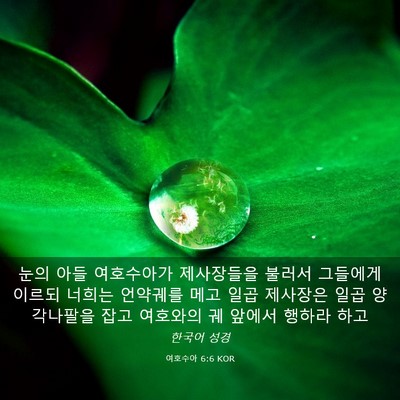 Picture 03 - 여호수아 6:6 KOR - 눈의 아들 여호수아가 제사장들을 - Bible Verse Picture
