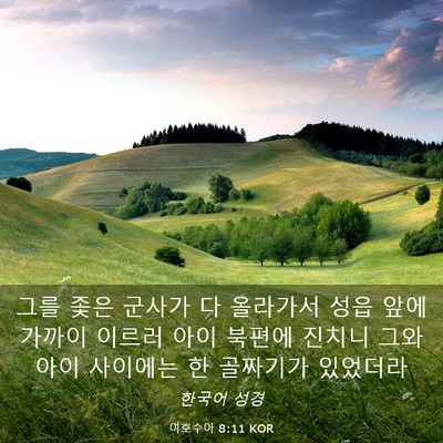 Picture 03 - 여호수아 8:11 KOR - 그를 좇은 군사가 다 올라가서 성읍 - Bible Verse Picture