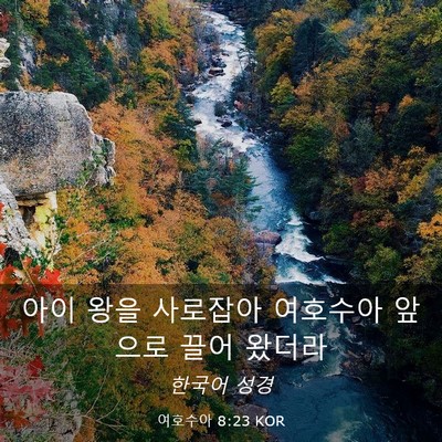 Picture 03 - 여호수아 8:23 KOR - 아이 왕을 사로잡아 여호수아 앞으로 - Bible Verse Picture