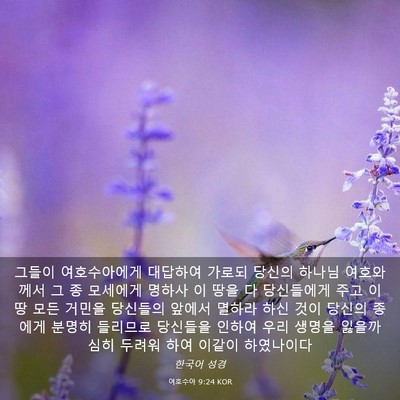 Picture 03 - 여호수아 9:24 KOR - 그들이 여호수아에게 대답하여 - Bible Verse Picture