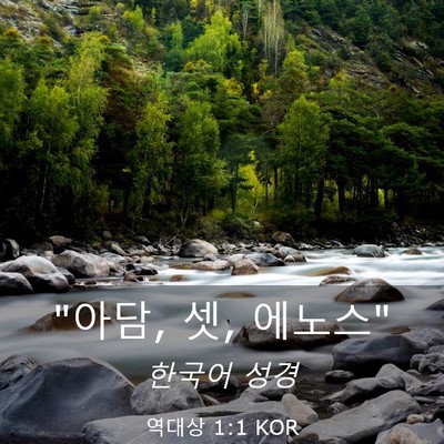 Picture 03 - 역대상 1:1 KOR - 