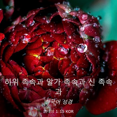 Picture 03 - 역대상 1:15 KOR - 히위 족속과 알가 족속과 신 - Bible Verse Picture