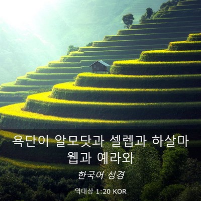 Picture 03 - 역대상 1:20 KOR - 욕단이 알모닷과 셀렙과 하살마웹과 - Bible Verse Picture