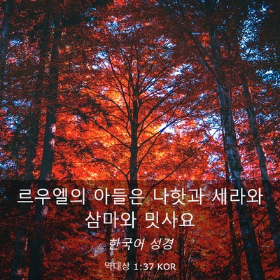 Picture 03 - 역대상 1:37 KOR - 르우엘의 아들은 나핫과 세라와 - Bible Verse Picture