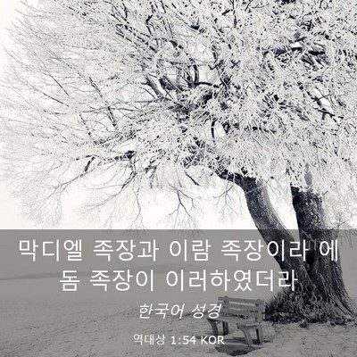 Picture 03 - 역대상 1:54 KOR - 막디엘 족장과 이람 족장이라 에돔 - Bible Verse Picture