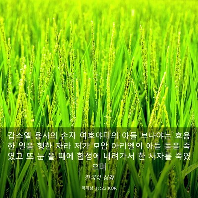 Picture 03 - 역대상 11:22 KOR - 갑스엘 용사의 손자 여호야다의 아들 - Bible Verse Picture